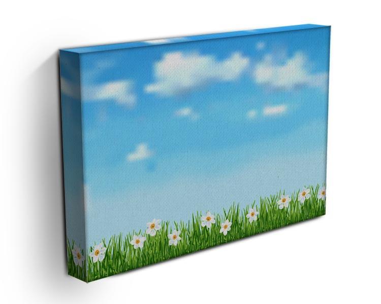 Background with grass and white flowers Canvas Print or Poster - Canvas Art Rocks - 3