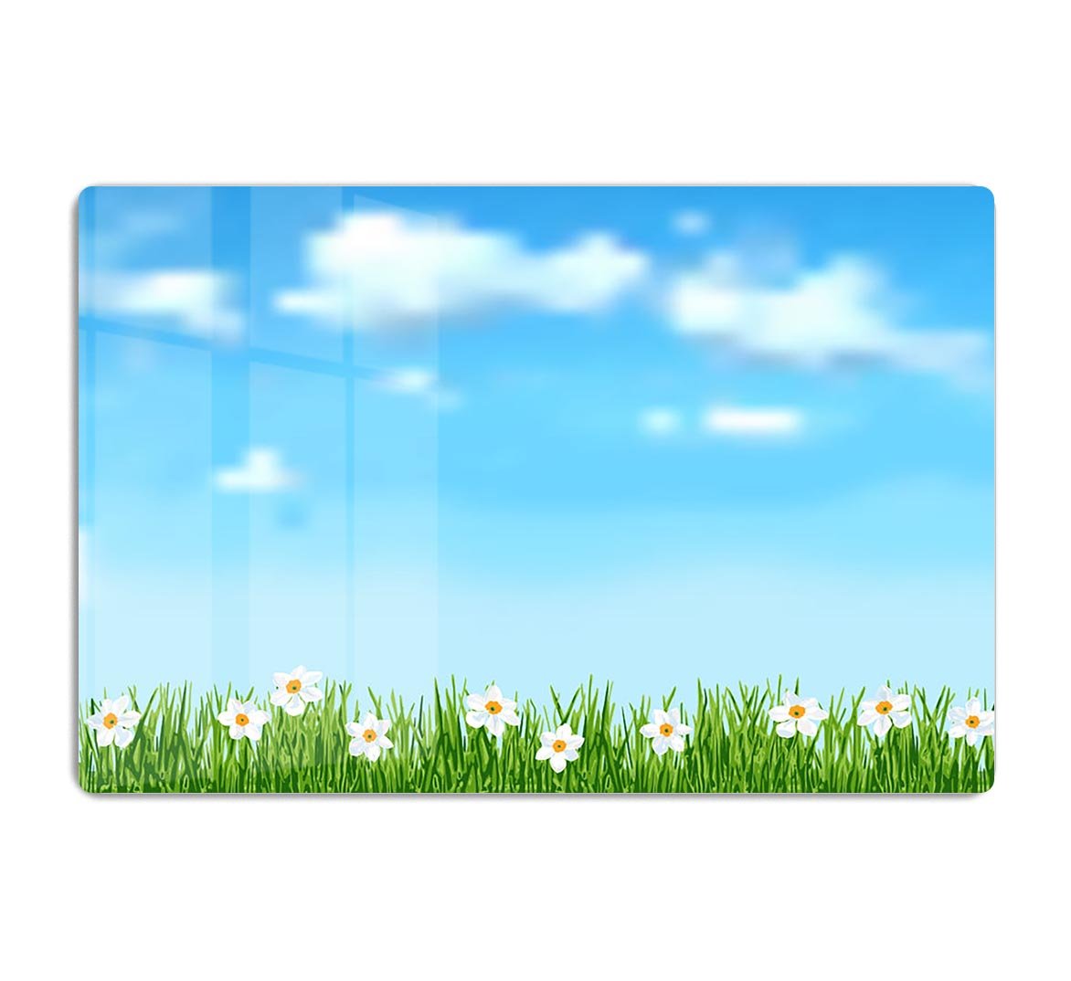Background with grass and white flowers HD Metal Print