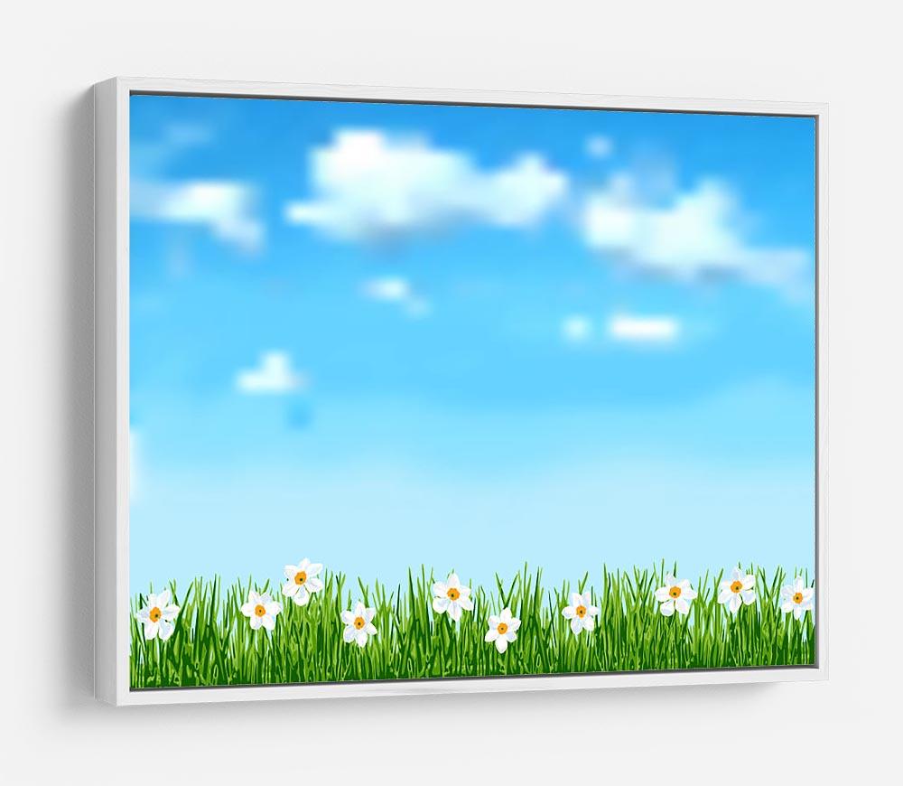 Background with grass and white flowers HD Metal Print