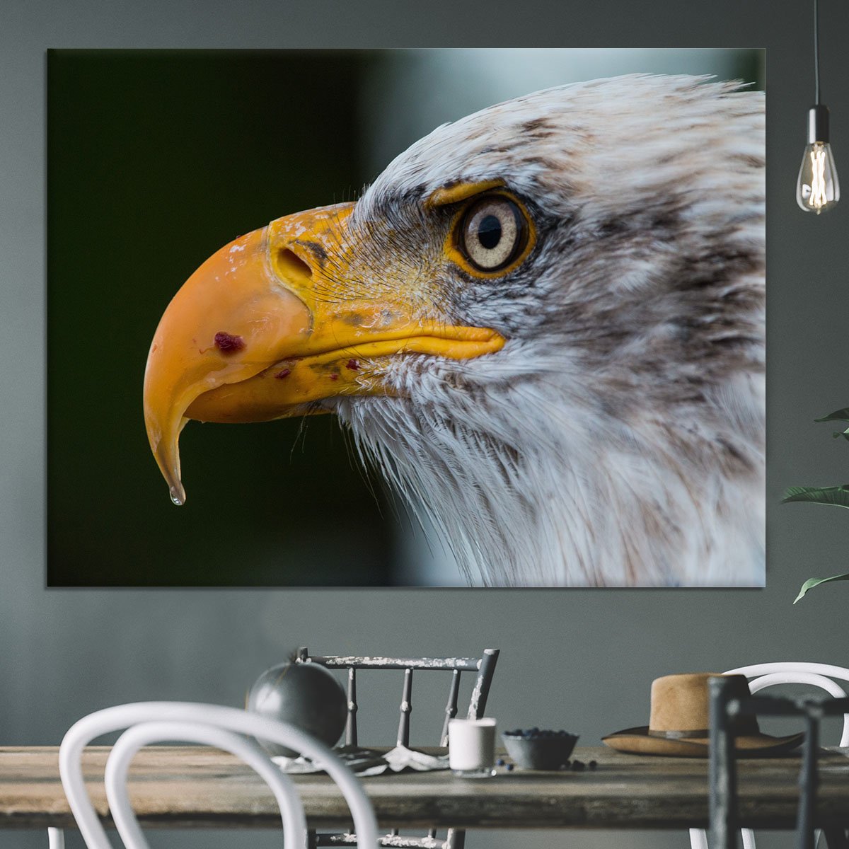 Bald Eagle Canvas Print or Poster
