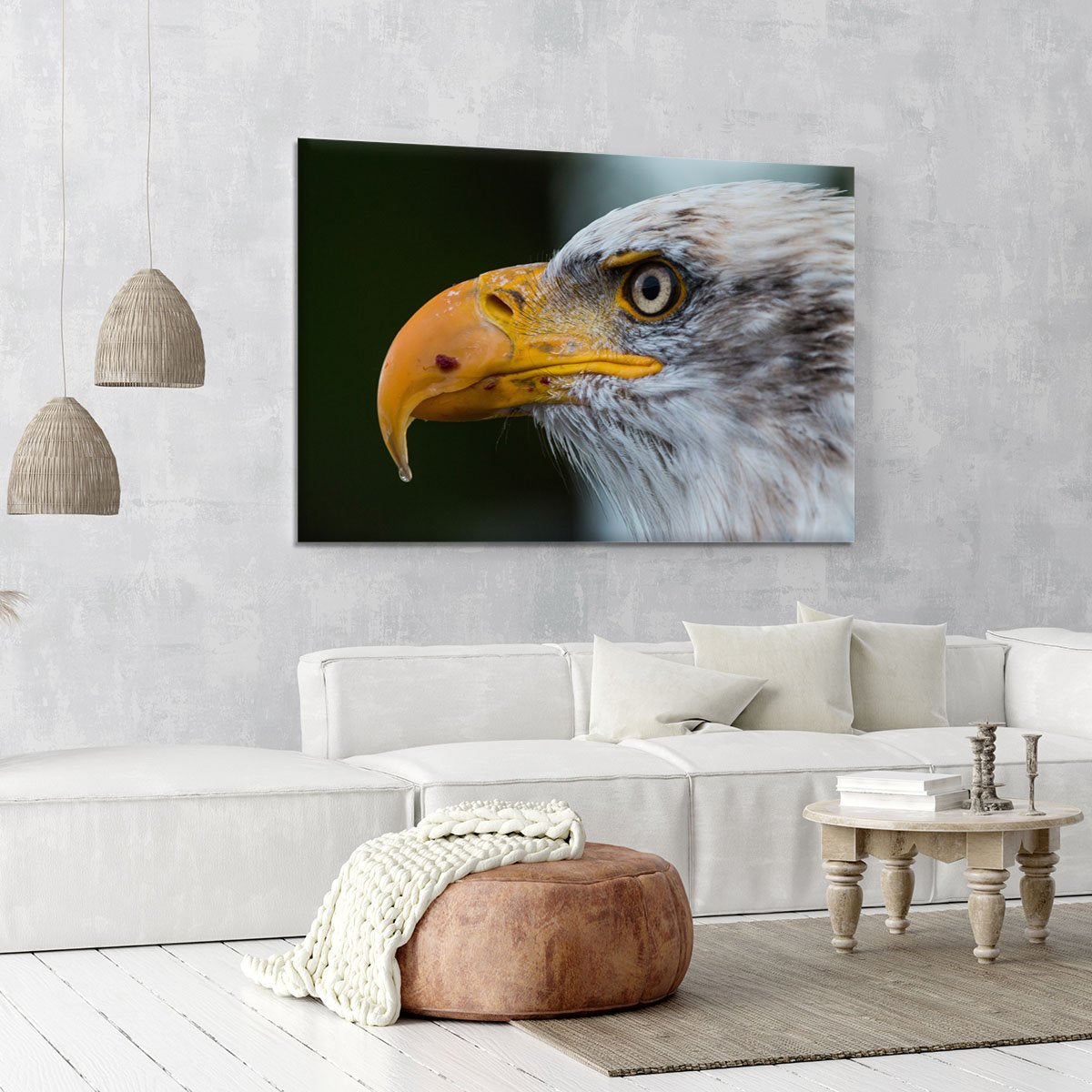 Bald Eagle Canvas Print or Poster