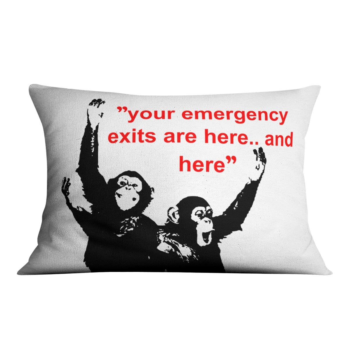 Banksy Emergency Exits Cushion