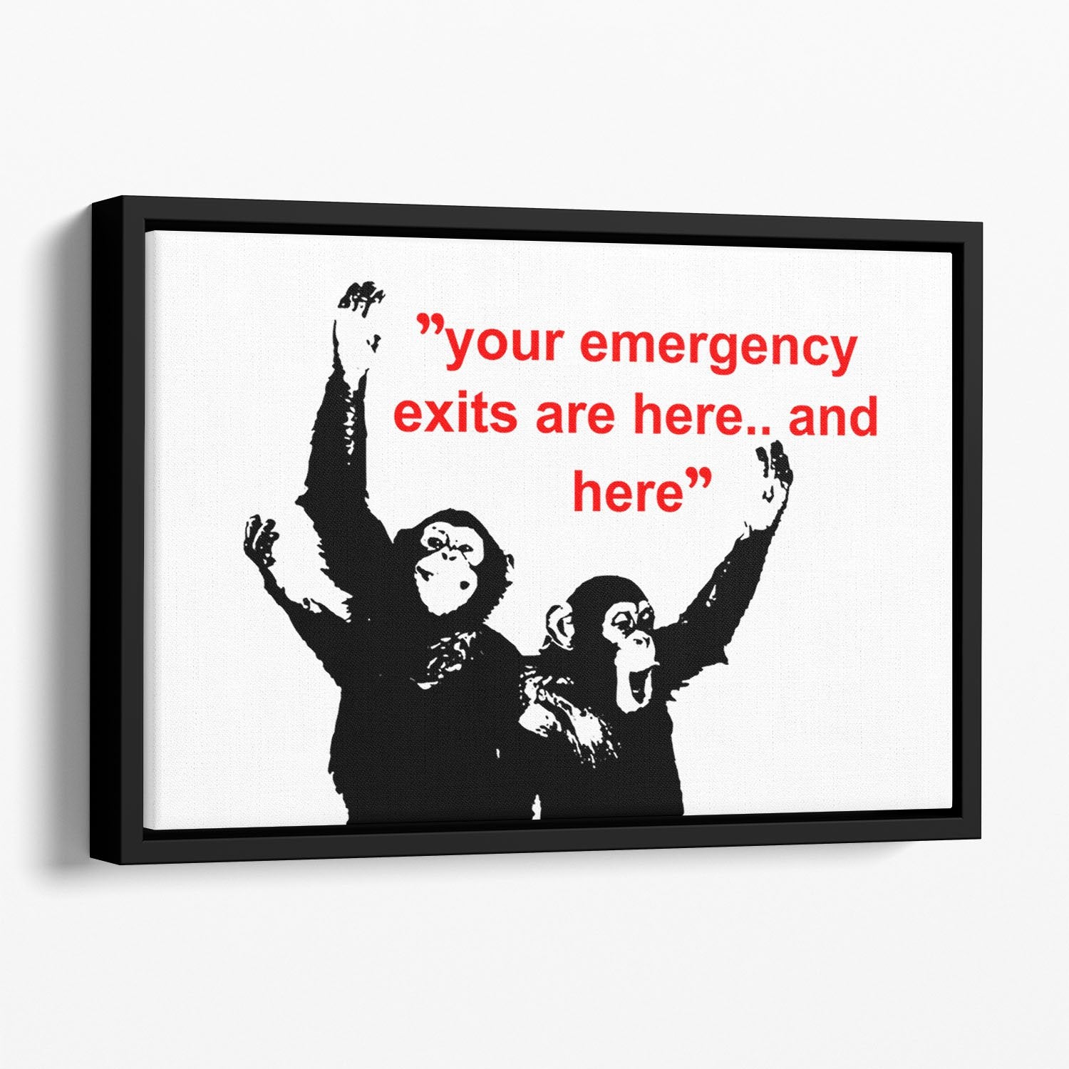 Banksy Emergency Exits Floating Framed Canvas