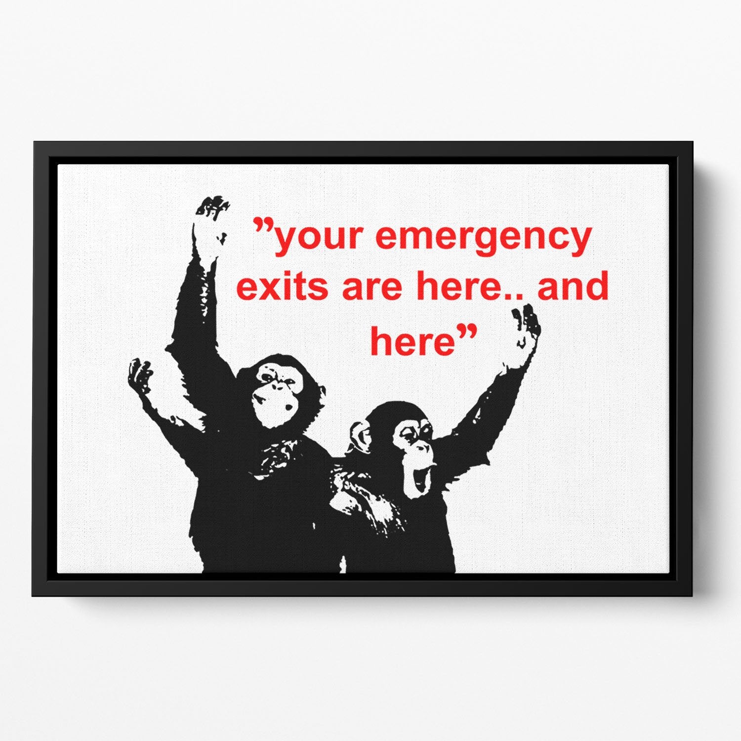 Banksy Emergency Exits Floating Framed Canvas