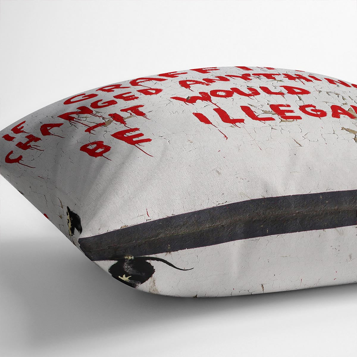 Banksy If Graffiti Changed Anything Cushion