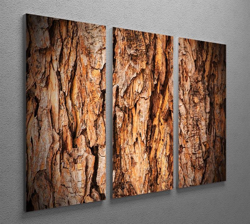 Bark texture 3 Split Panel Canvas Print - Canvas Art Rocks - 2