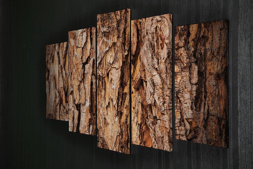 Bark texture 5 Split Panel Canvas - Canvas Art Rocks - 2