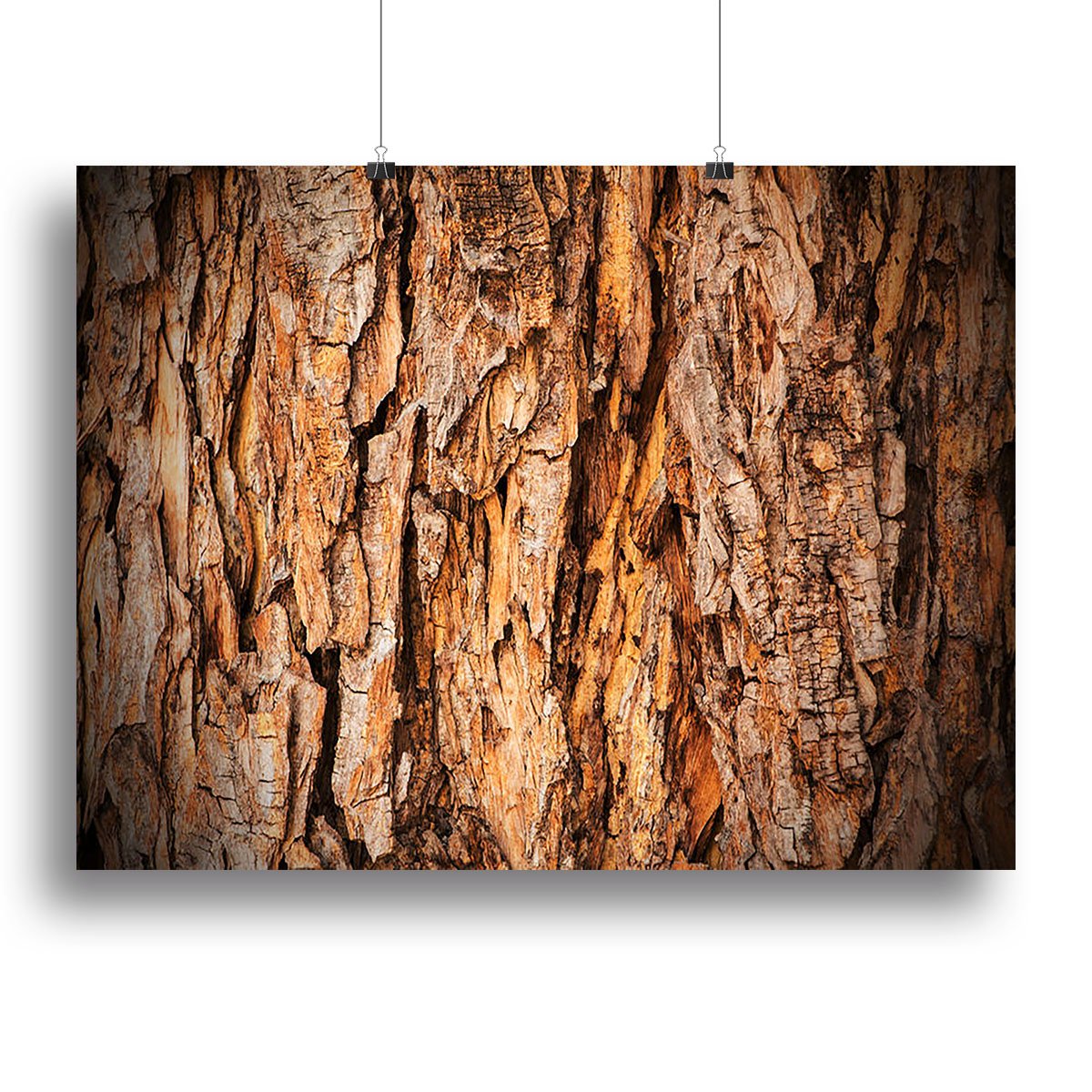 Bark texture Canvas Print or Poster