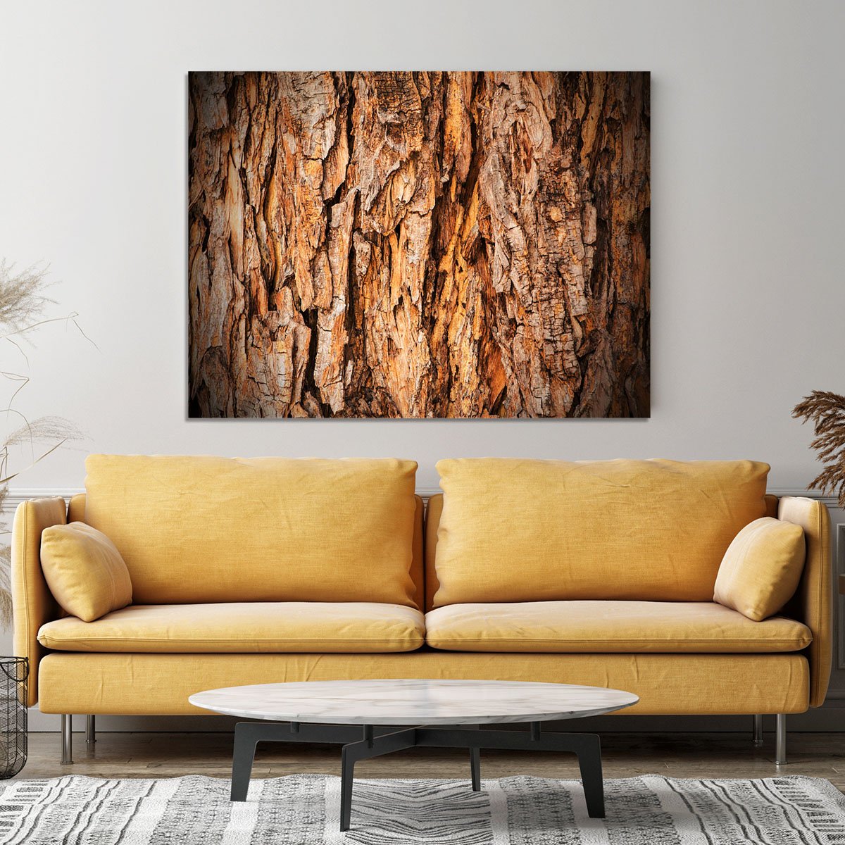 Bark texture Canvas Print or Poster