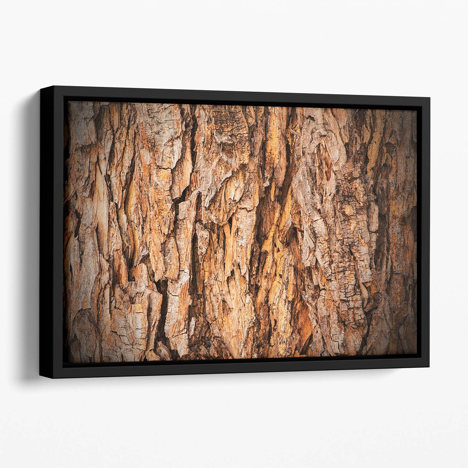 Bark texture Floating Framed Canvas