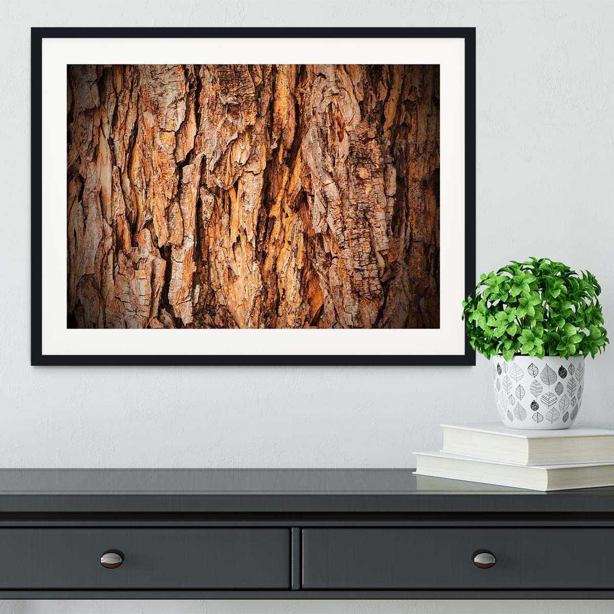 Bark texture Framed Print - Canvas Art Rocks - 1