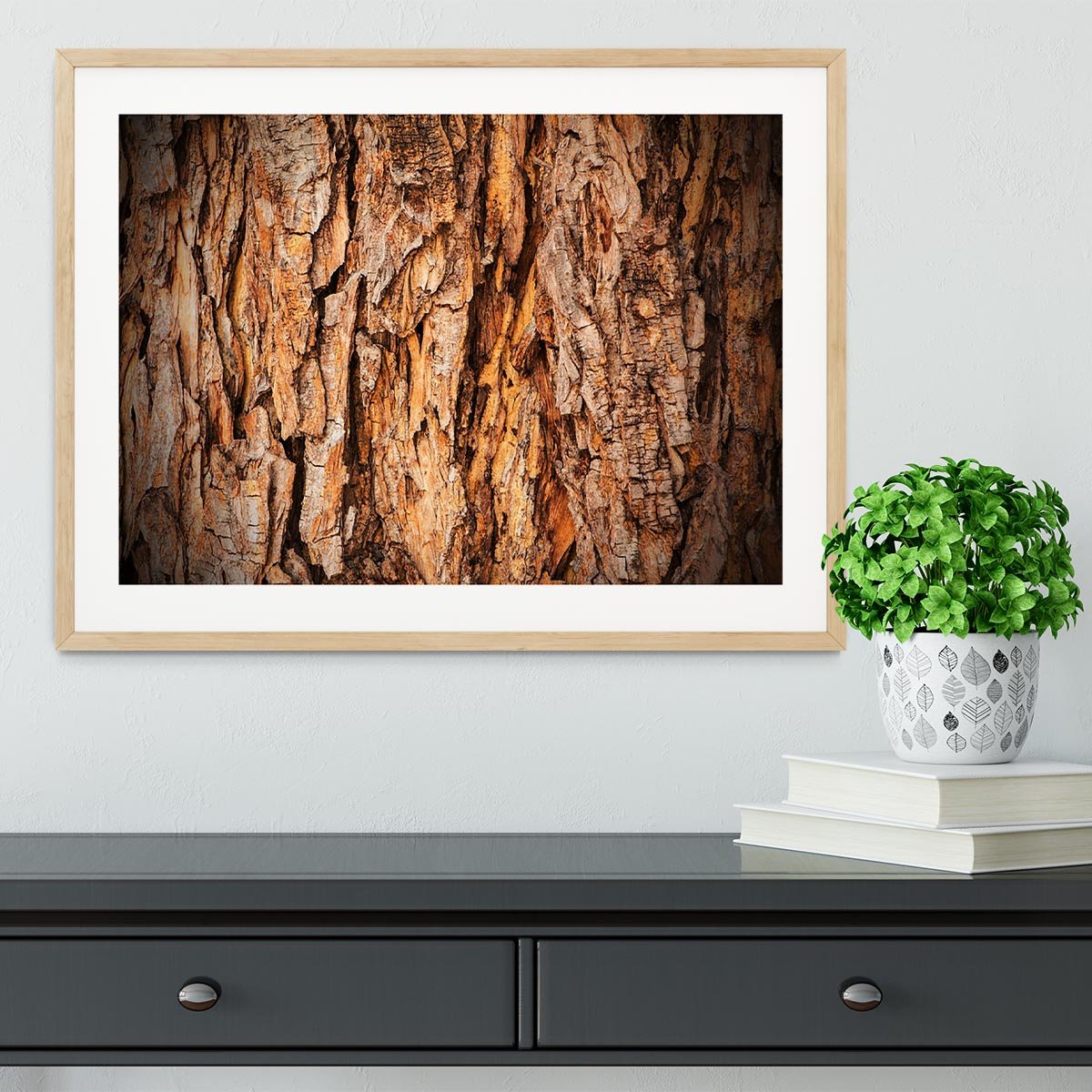 Bark texture Framed Print - Canvas Art Rocks - 3