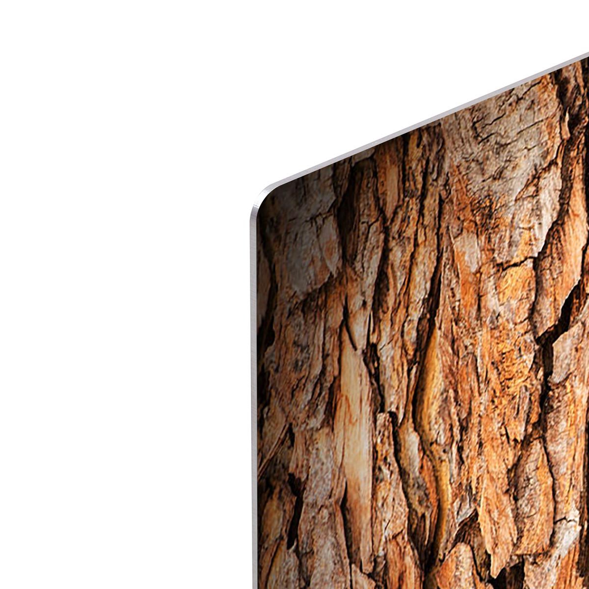 Bark texture HD Metal Print - Canvas Art Rocks - 4