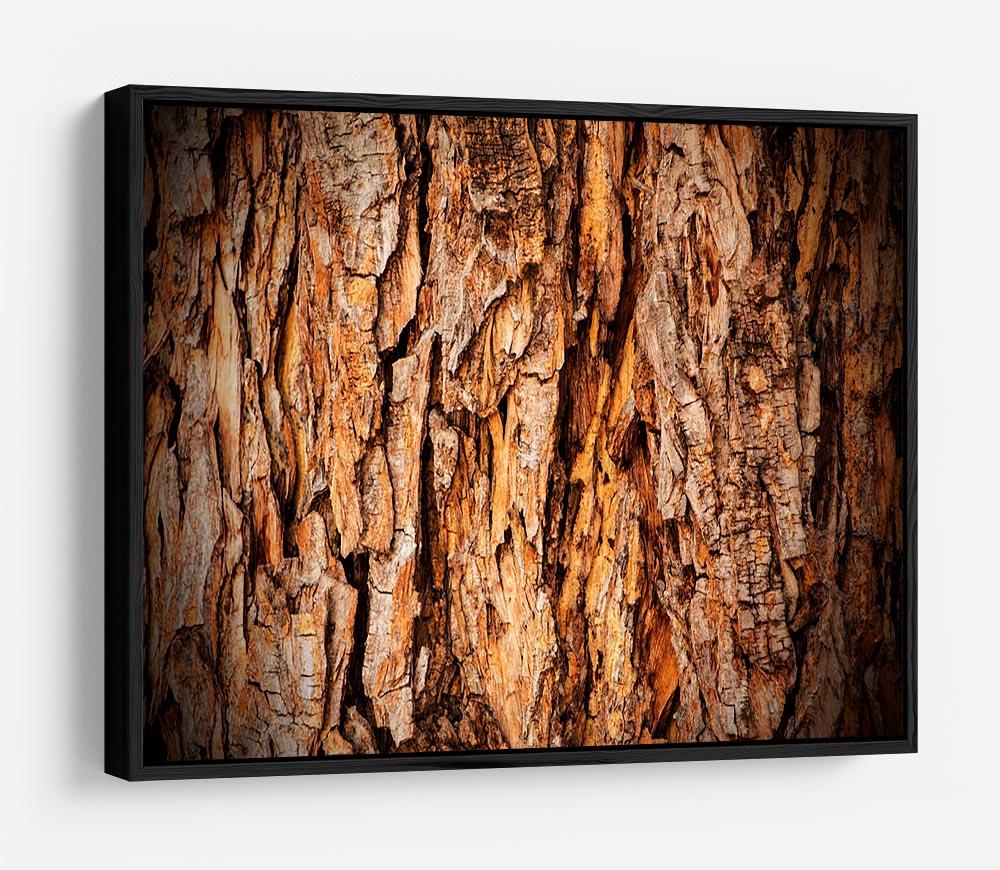 Bark texture HD Metal Print - Canvas Art Rocks - 6