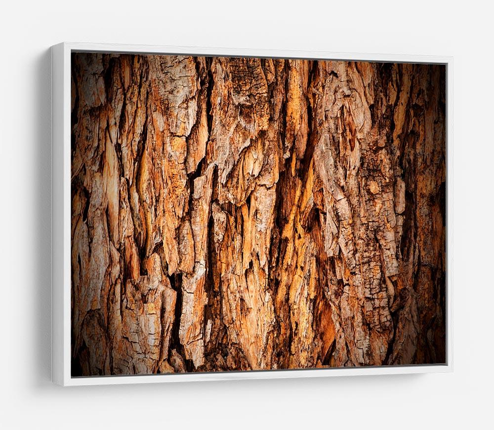 Bark texture HD Metal Print - Canvas Art Rocks - 7