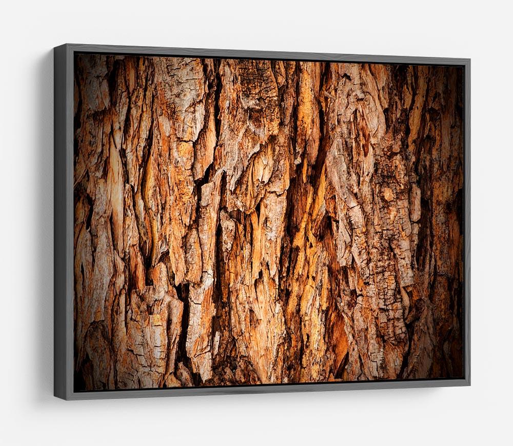 Bark texture HD Metal Print - Canvas Art Rocks - 9