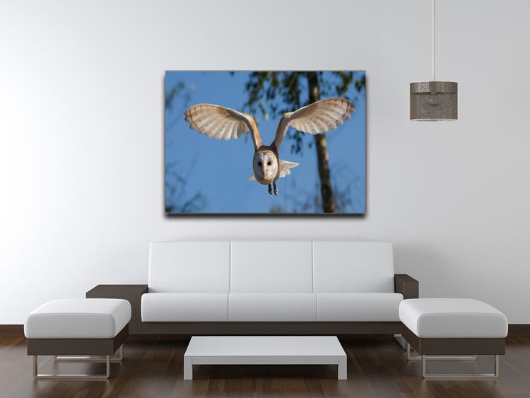 Barn Owl Print - Canvas Art Rocks - 4