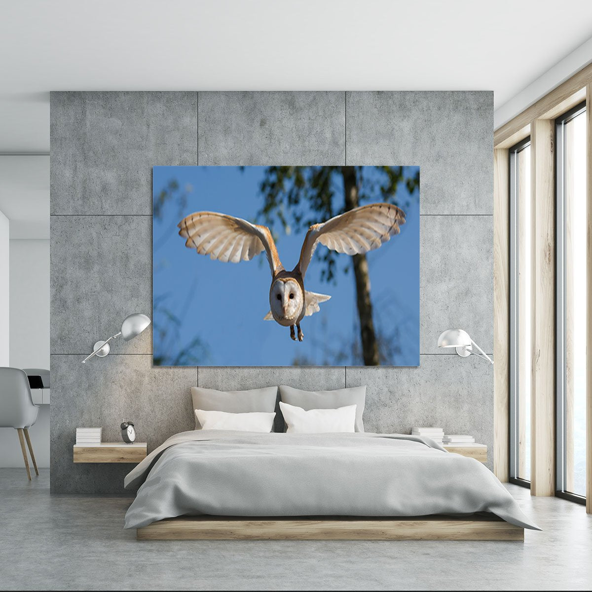 Barn Owl Canvas Print or Poster