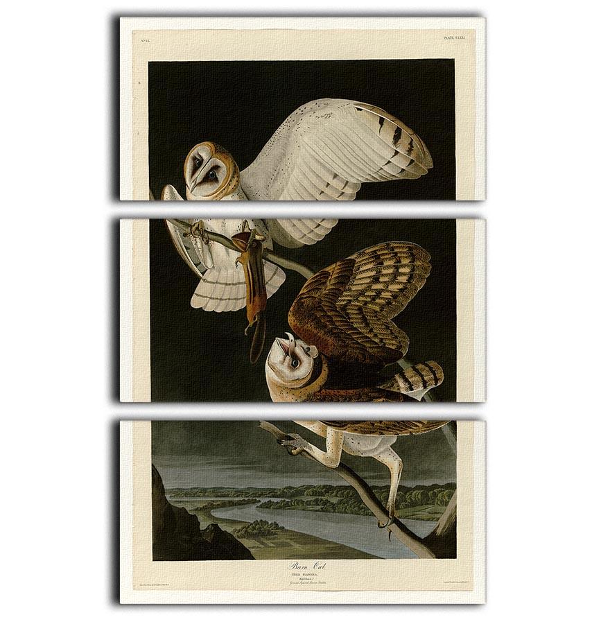Barn Owl by Audubon 3 Split Panel Canvas Print - Canvas Art Rocks - 1
