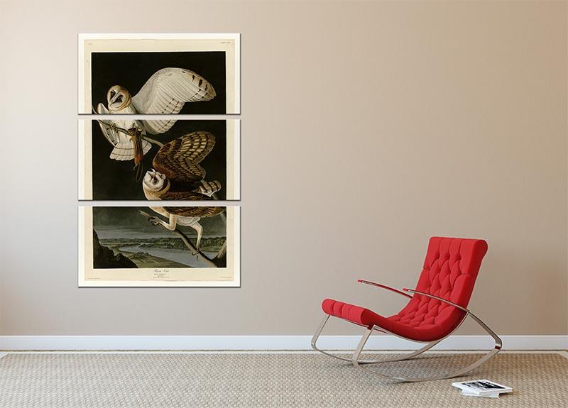 Barn Owl by Audubon 3 Split Panel Canvas Print - Canvas Art Rocks - 2