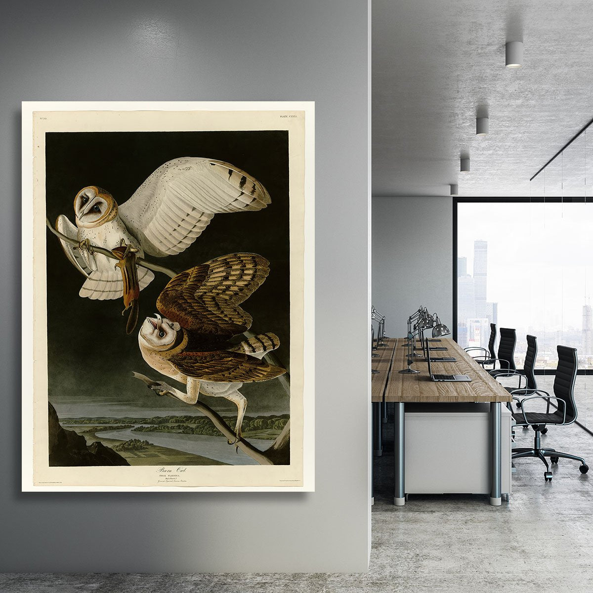 Barn Owl by Audubon Canvas Print or Poster