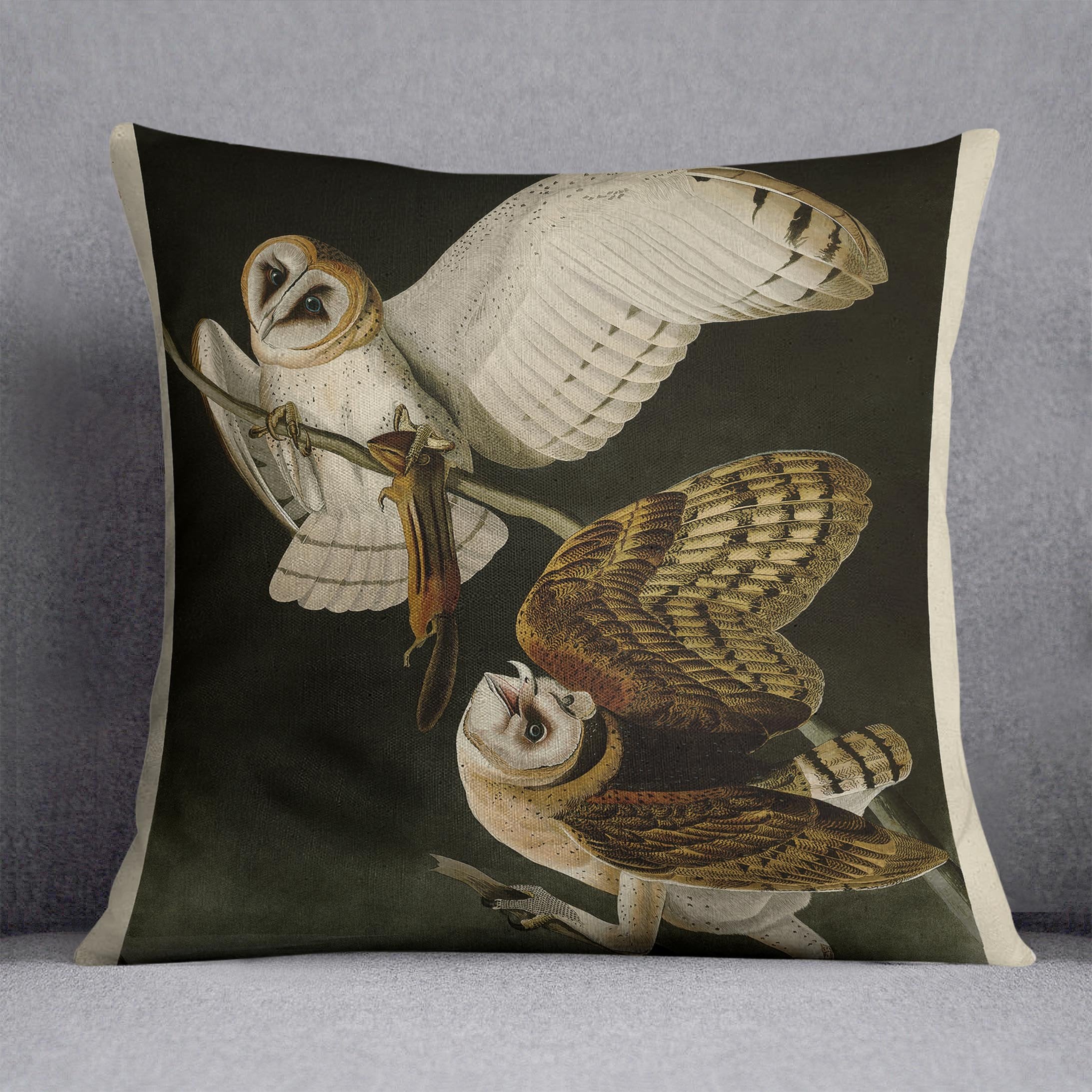 Barn Owl by Audubon Cushion