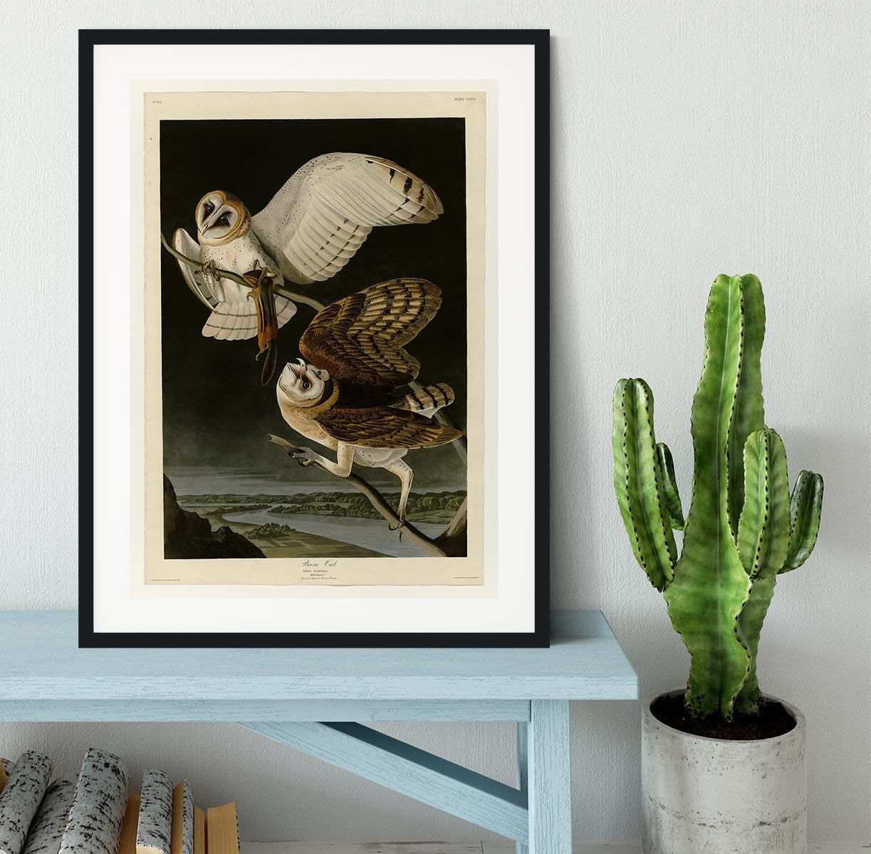 Barn Owl by Audubon Framed Print - Canvas Art Rocks - 1