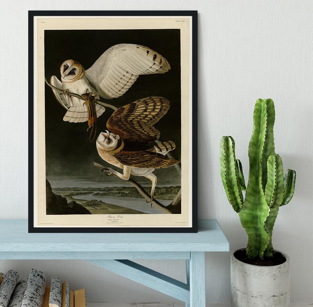 Barn Owl by Audubon Framed Print - Canvas Art Rocks - 2