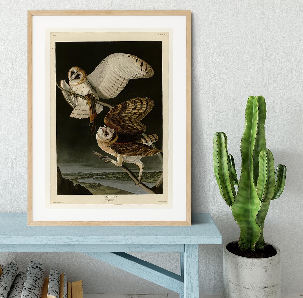 Barn Owl by Audubon Framed Print - Canvas Art Rocks - 3
