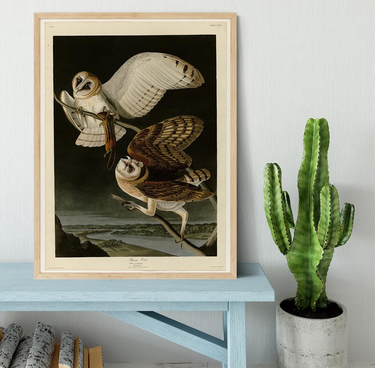 Barn Owl by Audubon Framed Print - Canvas Art Rocks - 4