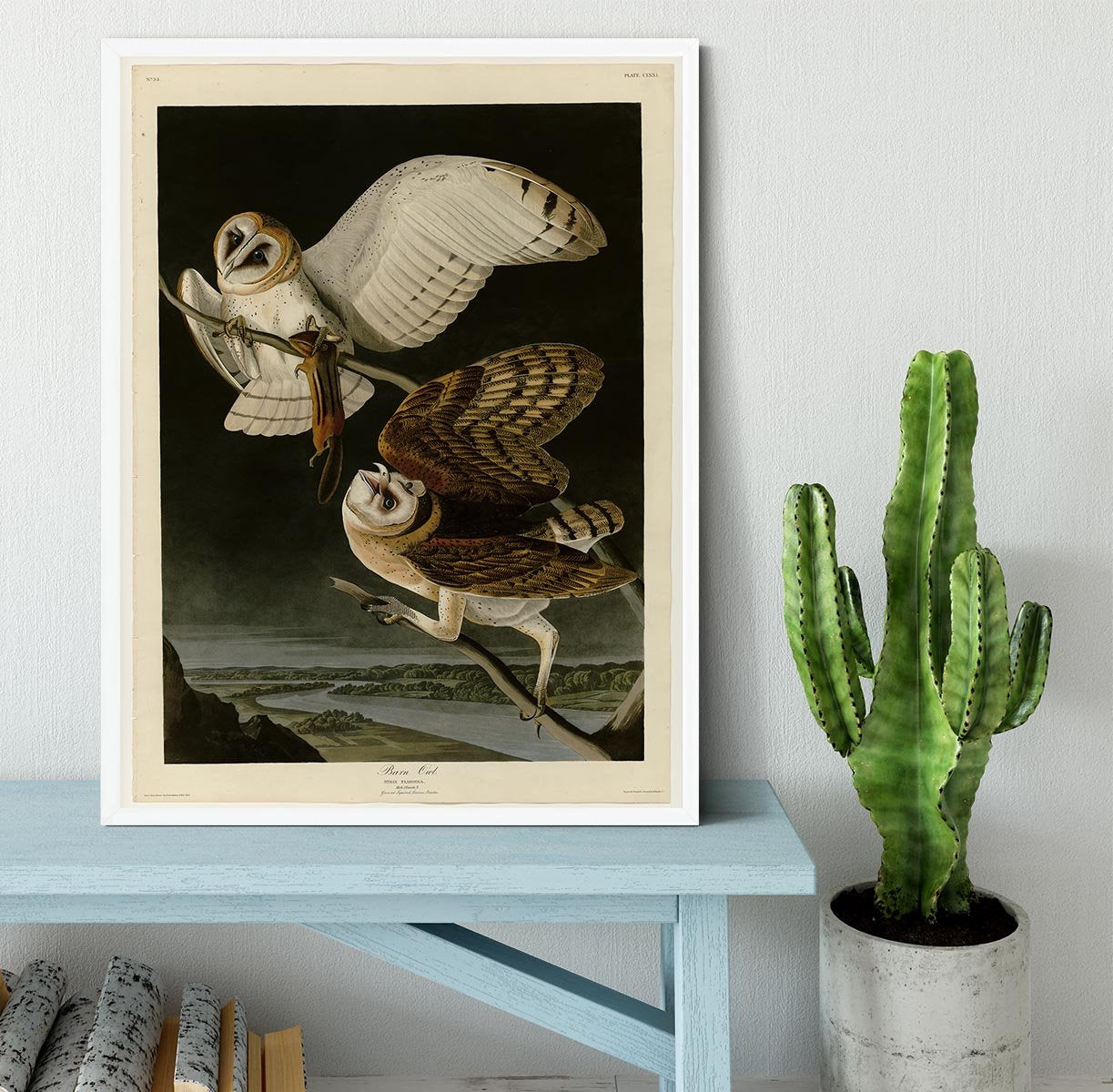 Barn Owl by Audubon Framed Print - Canvas Art Rocks -6