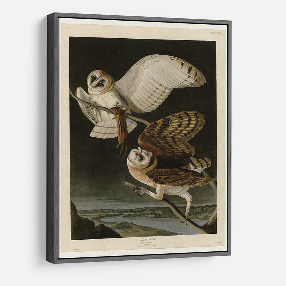 Barn Owl by Audubon HD Metal Print - Canvas Art Rocks - 9
