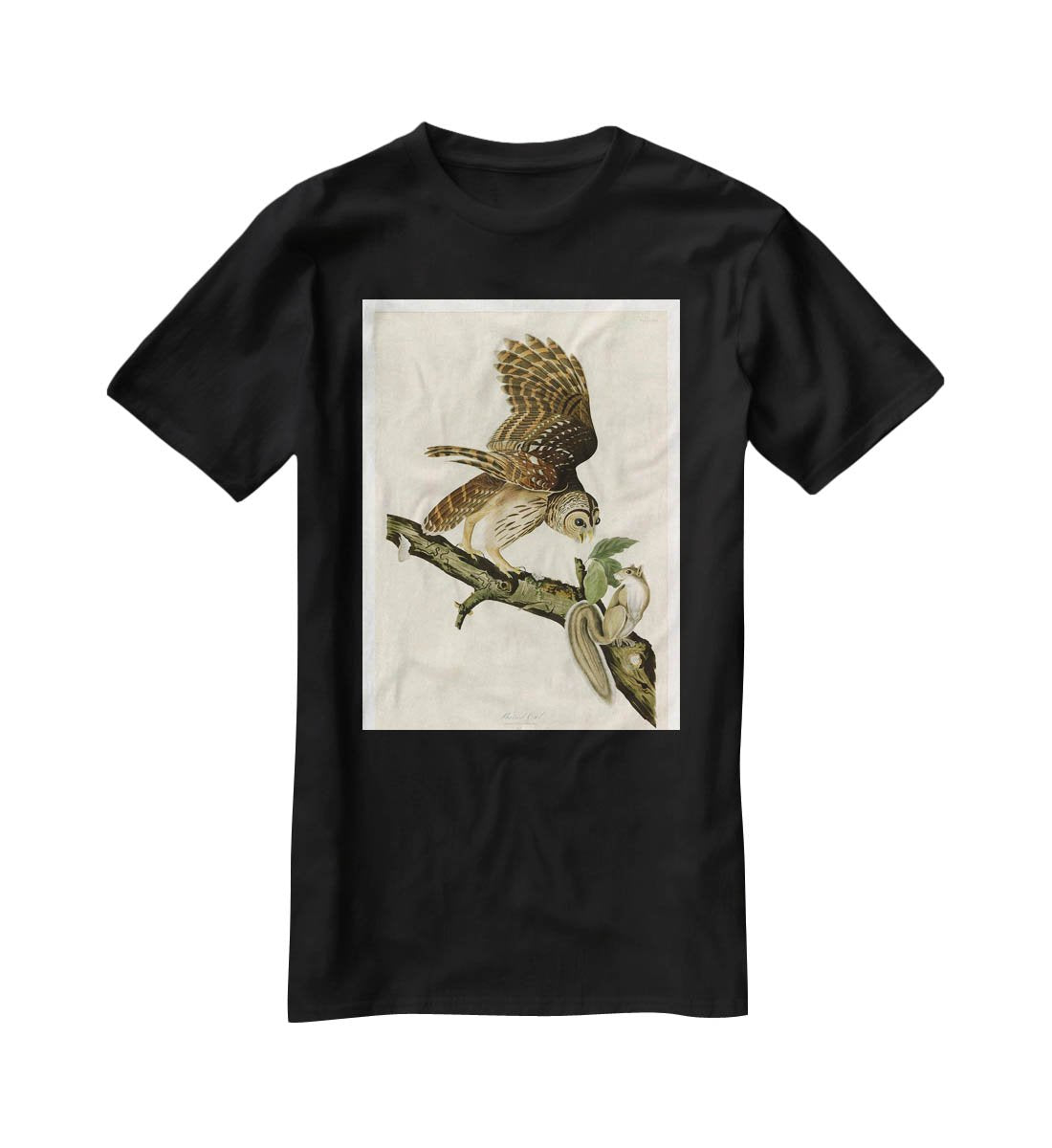Barred Owl by Audubon T-Shirt - Canvas Art Rocks - 1