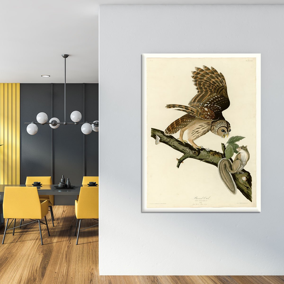 Barred Owl by Audubon Canvas Print or Poster