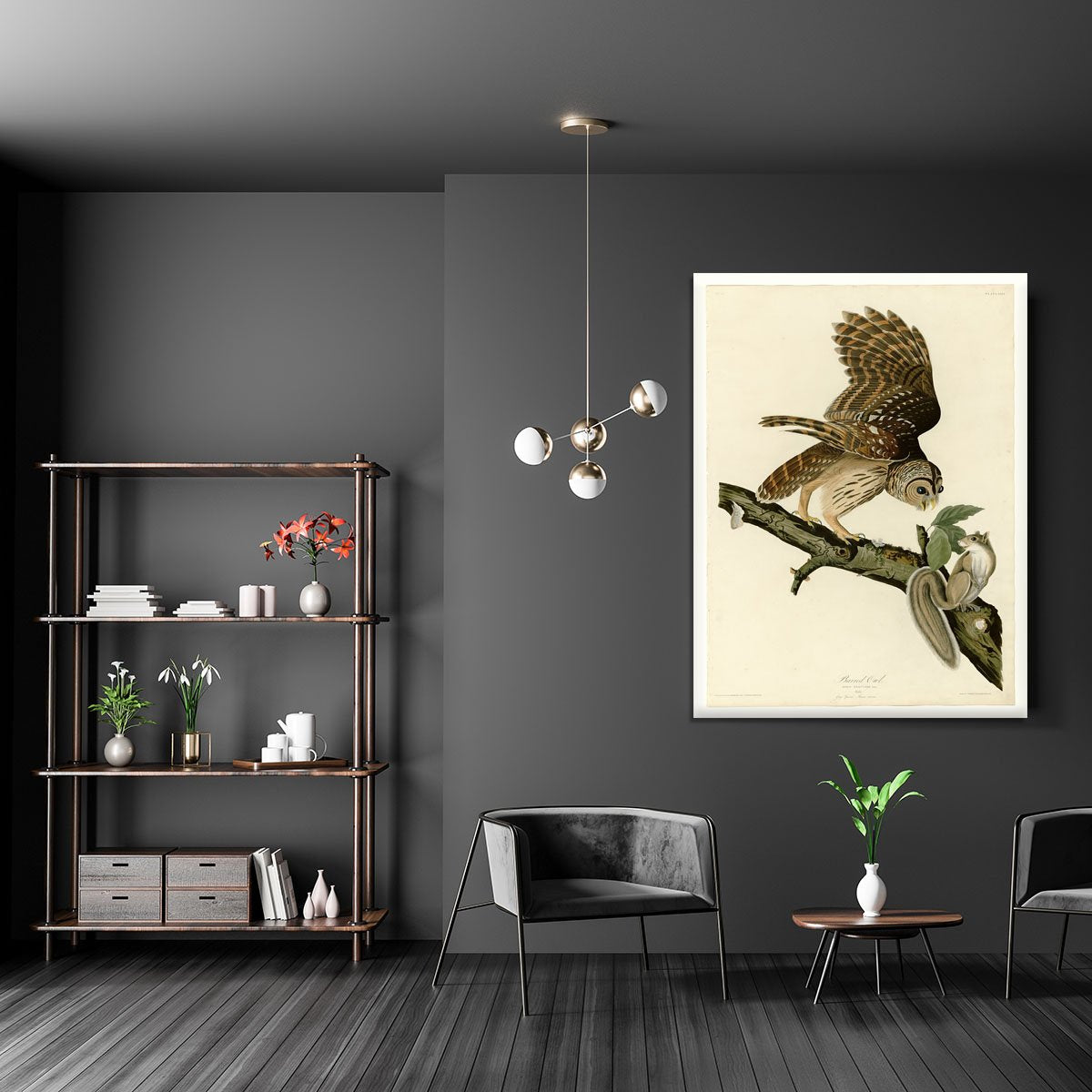 Barred Owl by Audubon Canvas Print or Poster