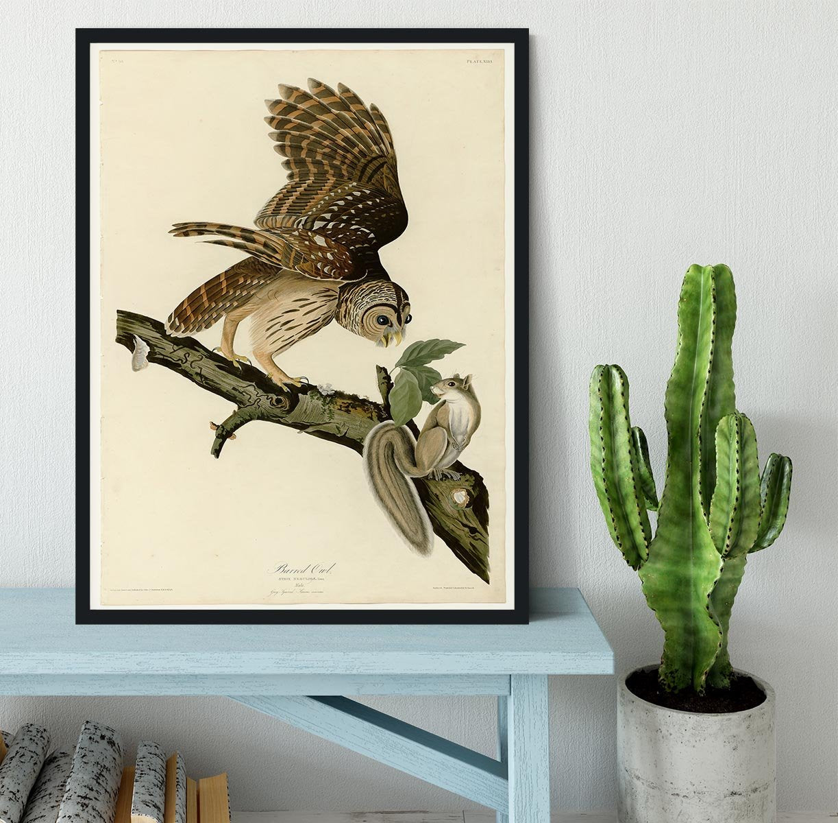 Barred Owl by Audubon Framed Print - Canvas Art Rocks - 2