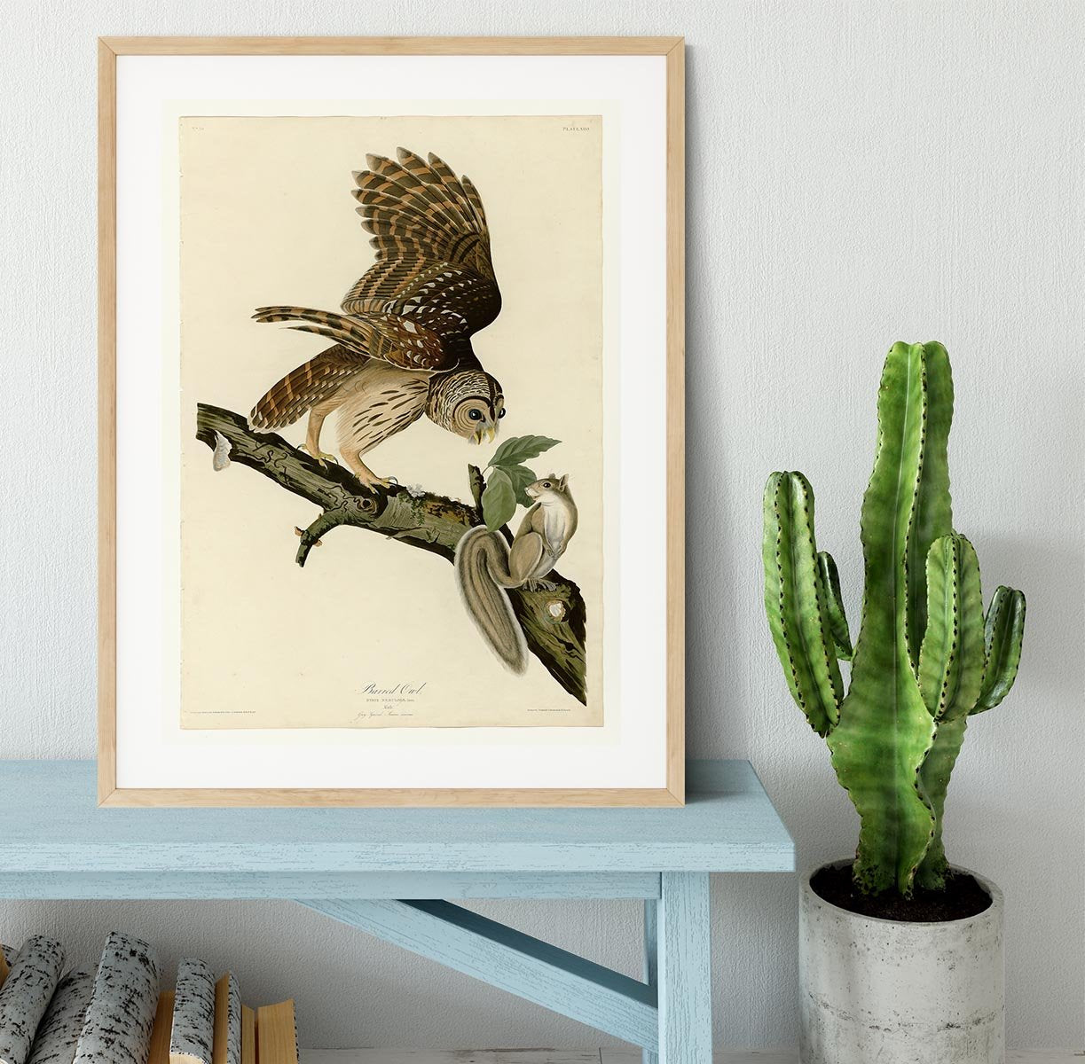 Barred Owl by Audubon Framed Print - Canvas Art Rocks - 3