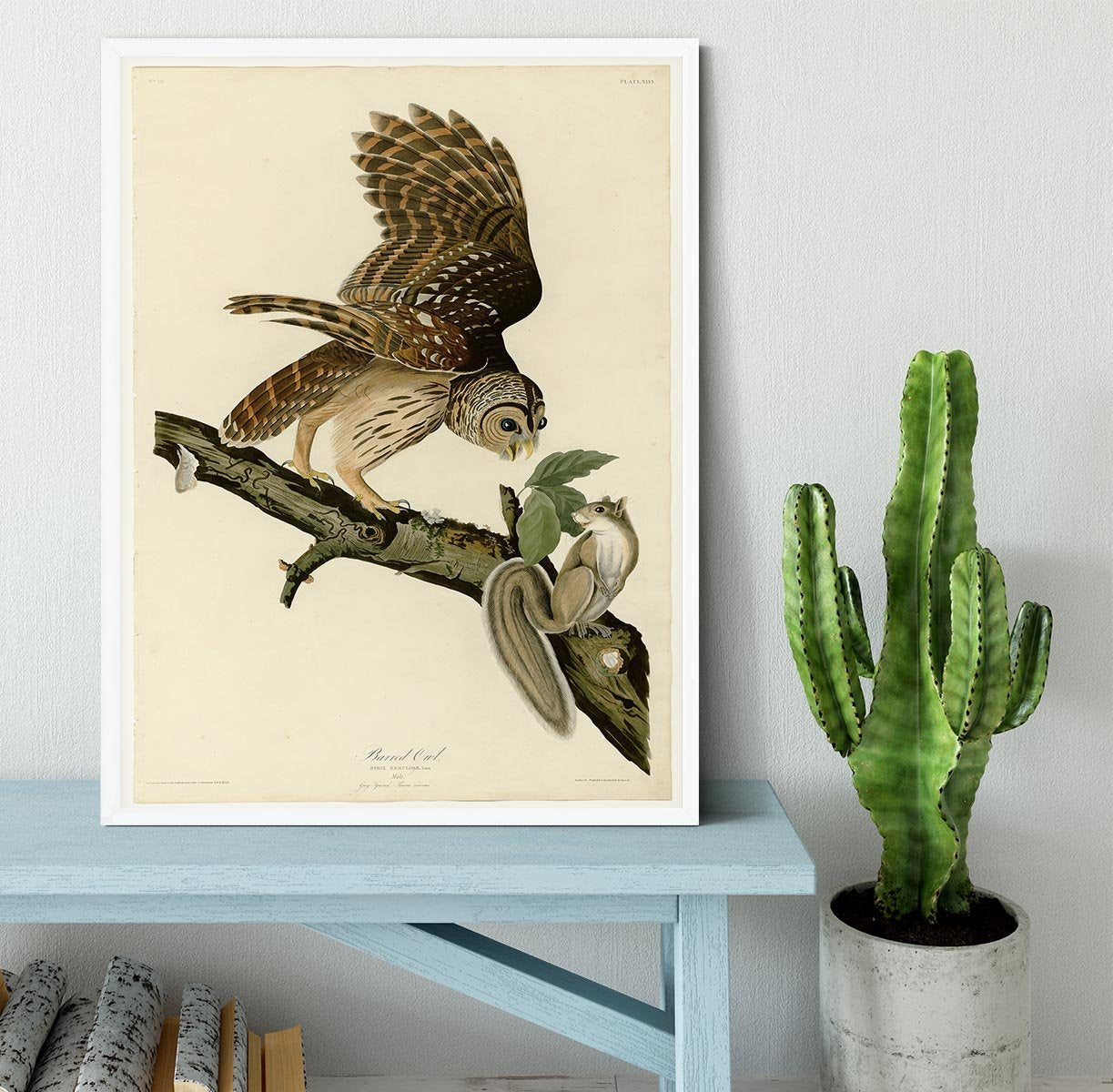 Barred Owl by Audubon Framed Print - Canvas Art Rocks -6