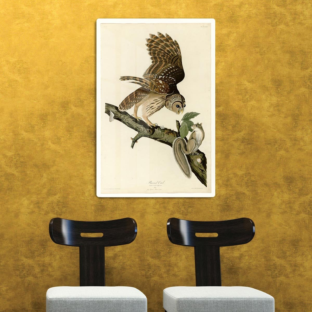 Barred Owl by Audubon HD Metal Print - Canvas Art Rocks - 2