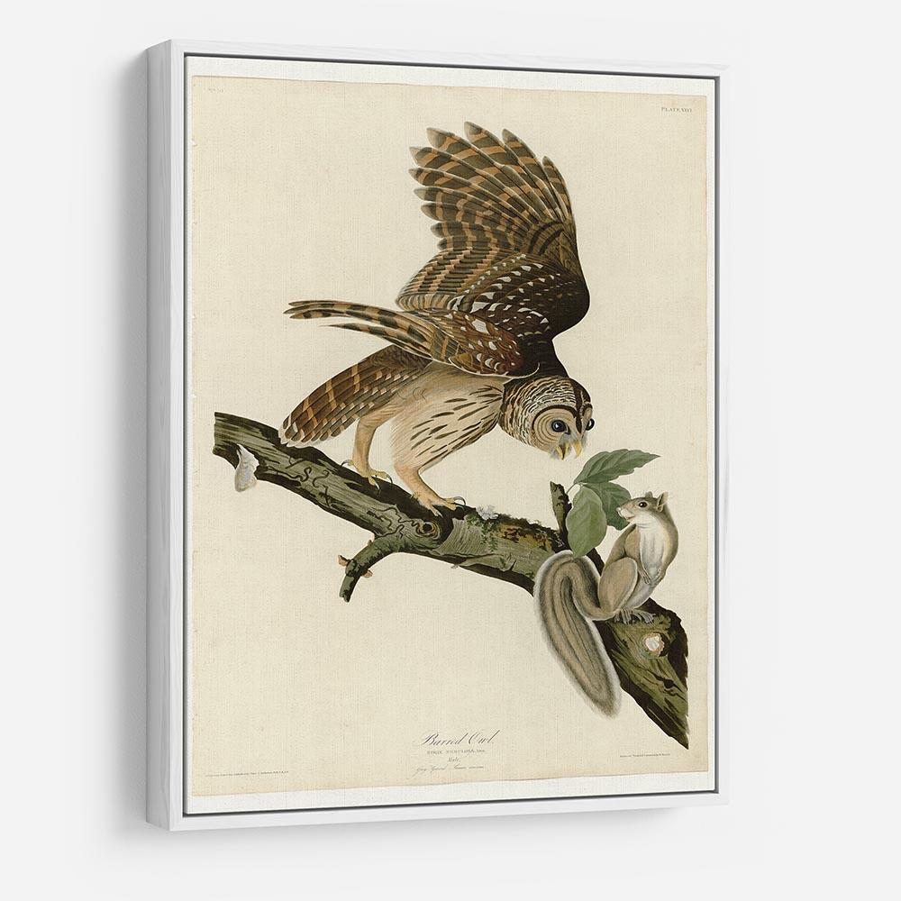Barred Owl by Audubon HD Metal Print - Canvas Art Rocks - 7