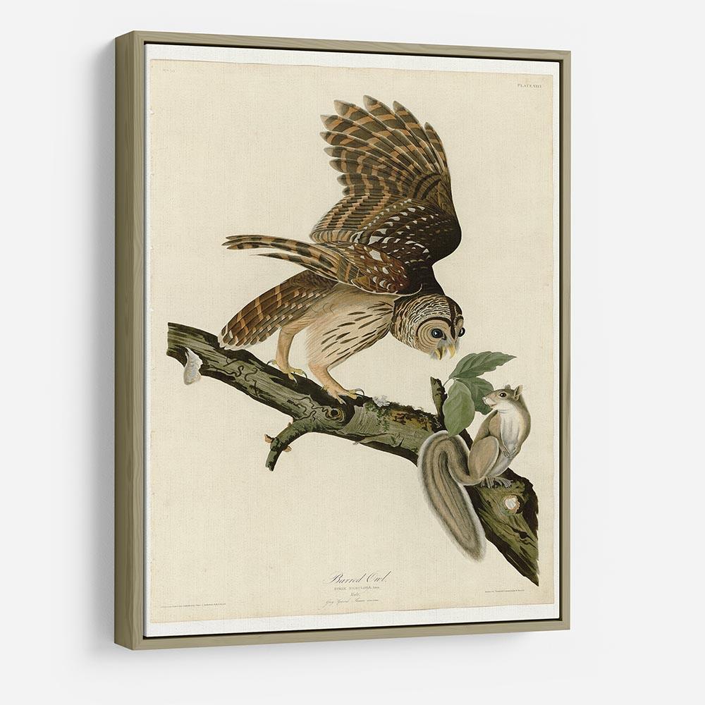 Barred Owl by Audubon HD Metal Print - Canvas Art Rocks - 8