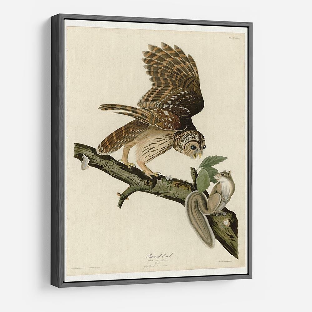 Barred Owl by Audubon HD Metal Print - Canvas Art Rocks - 9