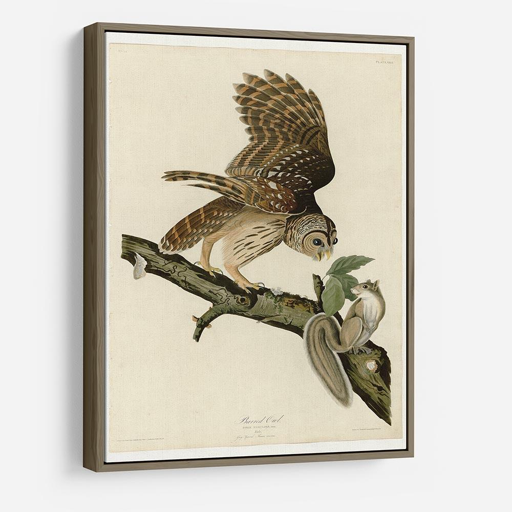 Barred Owl by Audubon HD Metal Print - Canvas Art Rocks - 10