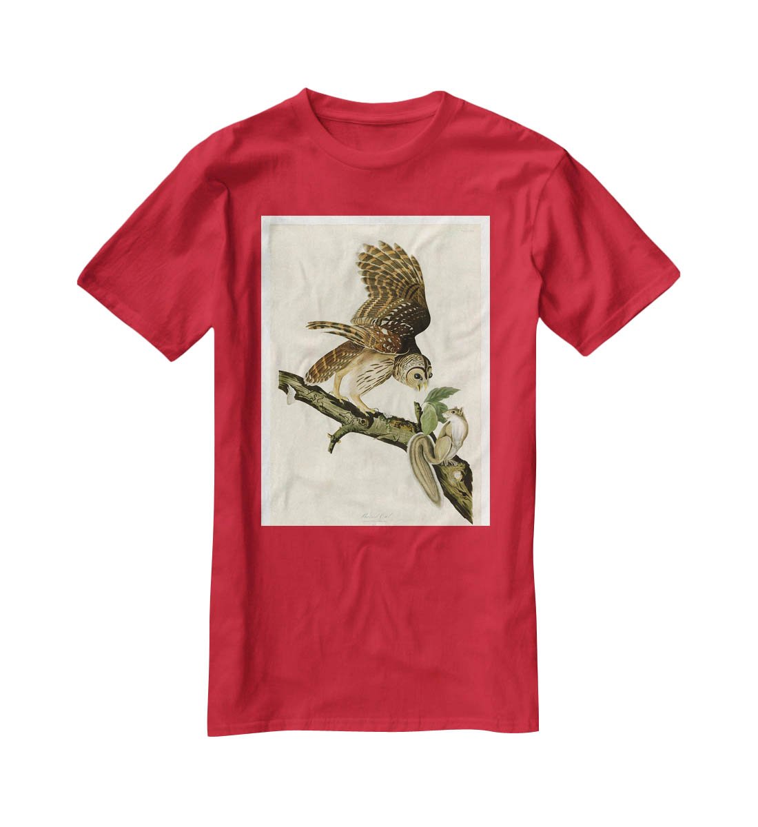 Barred Owl by Audubon T-Shirt - Canvas Art Rocks - 4