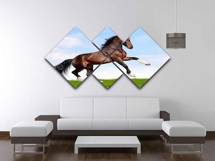 Bay horse running in field 4 Square Multi Panel Canvas - Canvas Art Rocks - 3