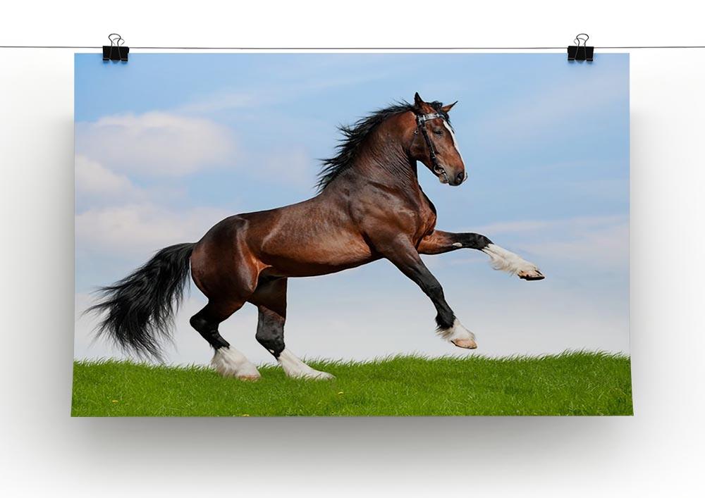 Bay horse running in field Canvas Print or Poster - Canvas Art Rocks - 2
