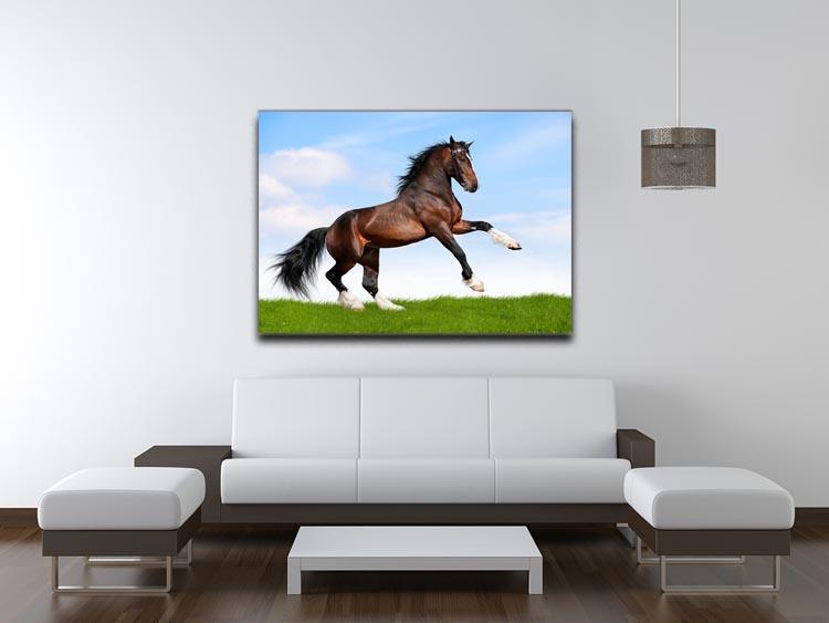 Bay horse running in field Canvas Print or Poster - Canvas Art Rocks - 4