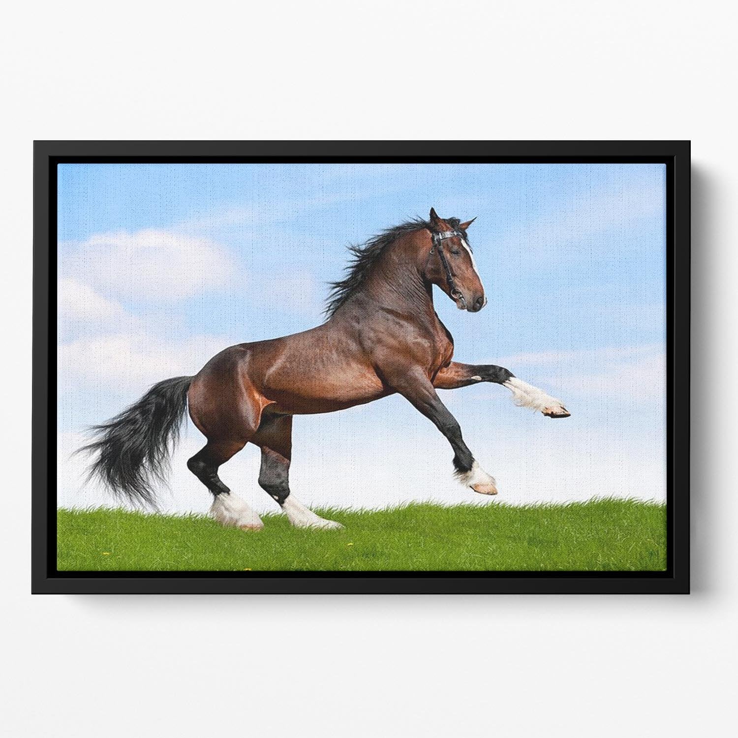Bay horse running in field Floating Framed Canvas - Canvas Art Rocks - 2