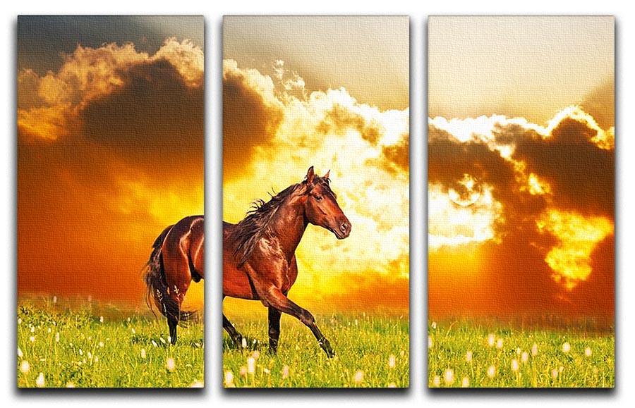 Bay horse skips on a meadow against a sunset 3 Split Panel Canvas Print - Canvas Art Rocks - 1
