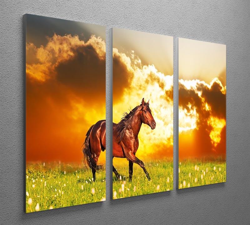 Bay horse skips on a meadow against a sunset 3 Split Panel Canvas Print - Canvas Art Rocks - 2
